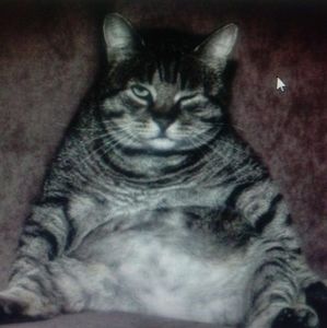 Meet your Posher, Eder